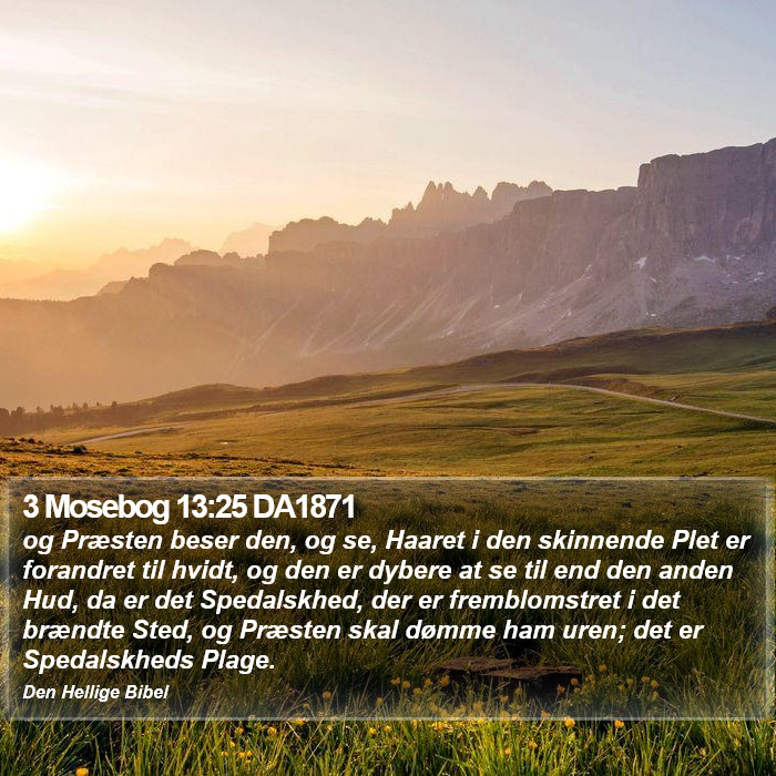 3 Mosebog 13:25 DA1871 Bible Study