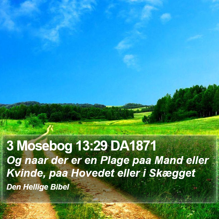 3 Mosebog 13:29 DA1871 Bible Study