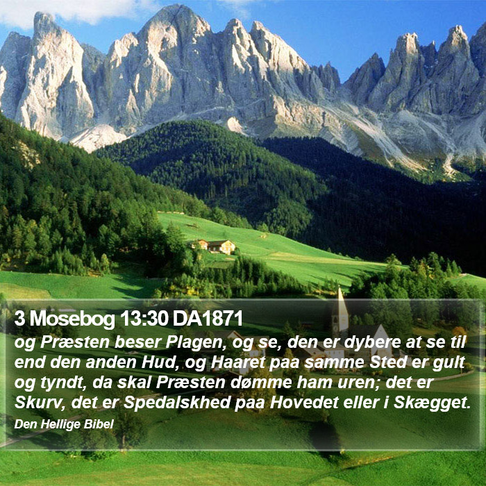 3 Mosebog 13:30 DA1871 Bible Study