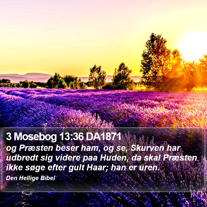 3 Mosebog 13:36 DA1871 Bible Study