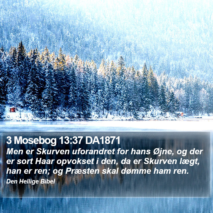 3 Mosebog 13:37 DA1871 Bible Study