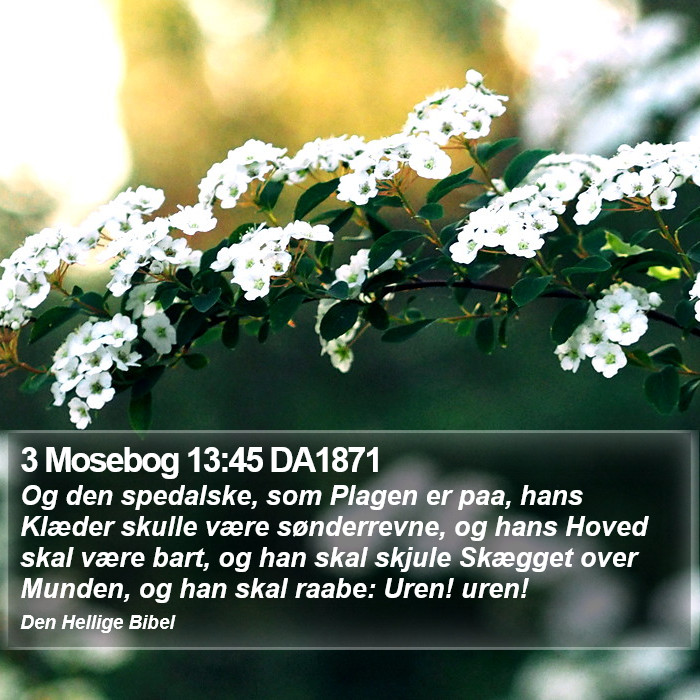 3 Mosebog 13:45 DA1871 Bible Study