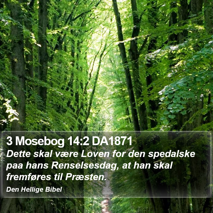 3 Mosebog 14:2 DA1871 Bible Study