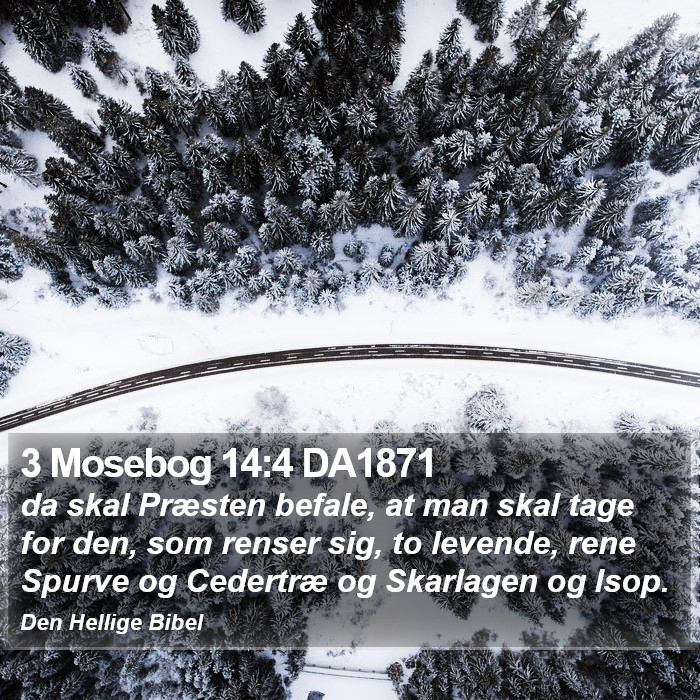 3 Mosebog 14:4 DA1871 Bible Study