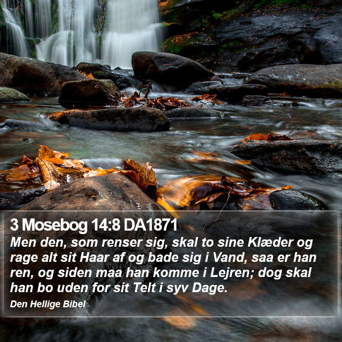 3 Mosebog 14:8 DA1871 Bible Study