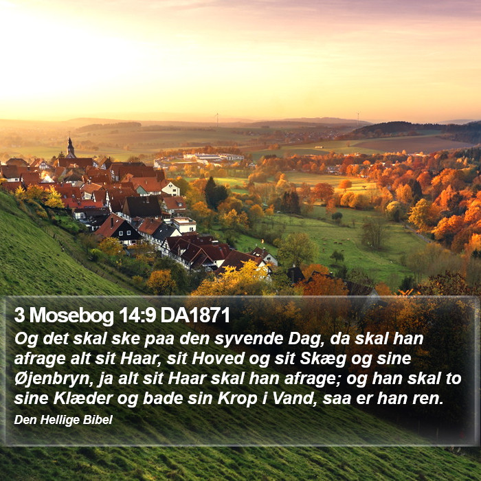 3 Mosebog 14:9 DA1871 Bible Study