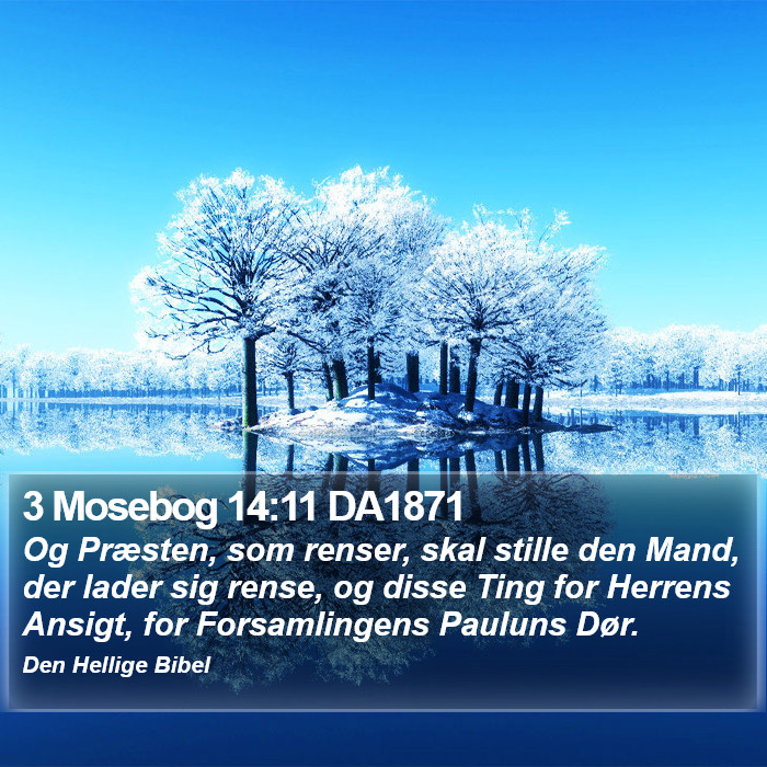 3 Mosebog 14:11 DA1871 Bible Study