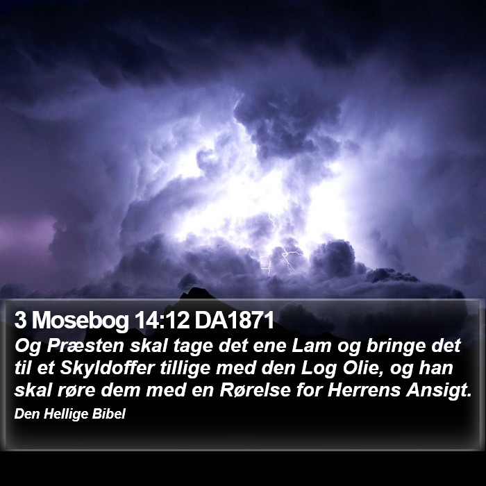 3 Mosebog 14:12 DA1871 Bible Study