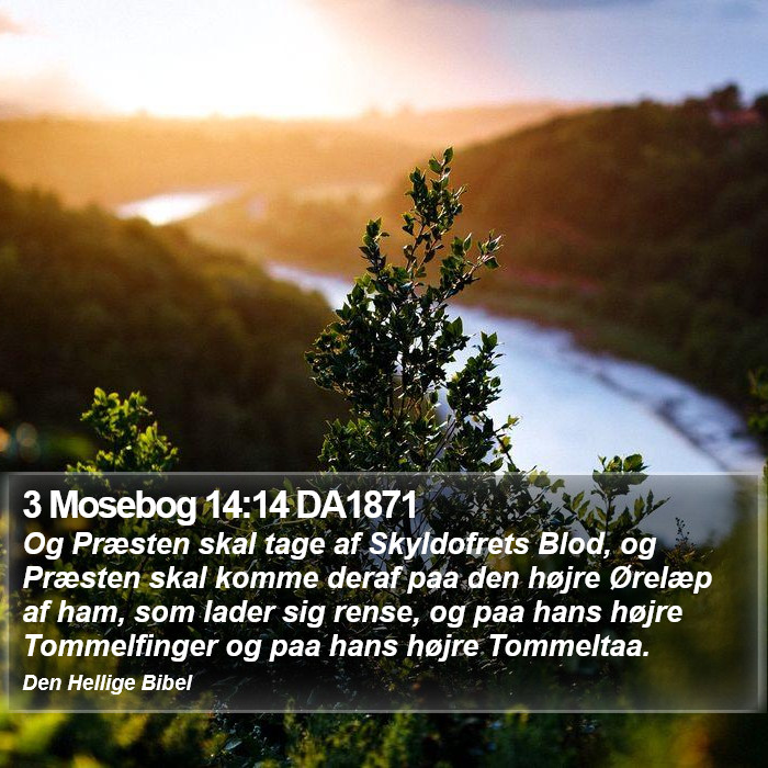 3 Mosebog 14:14 DA1871 Bible Study