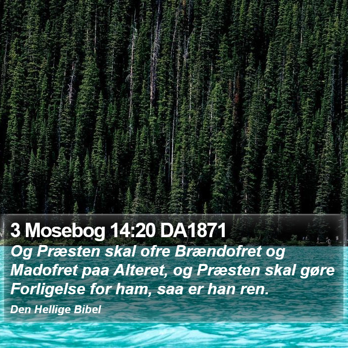 3 Mosebog 14:20 DA1871 Bible Study