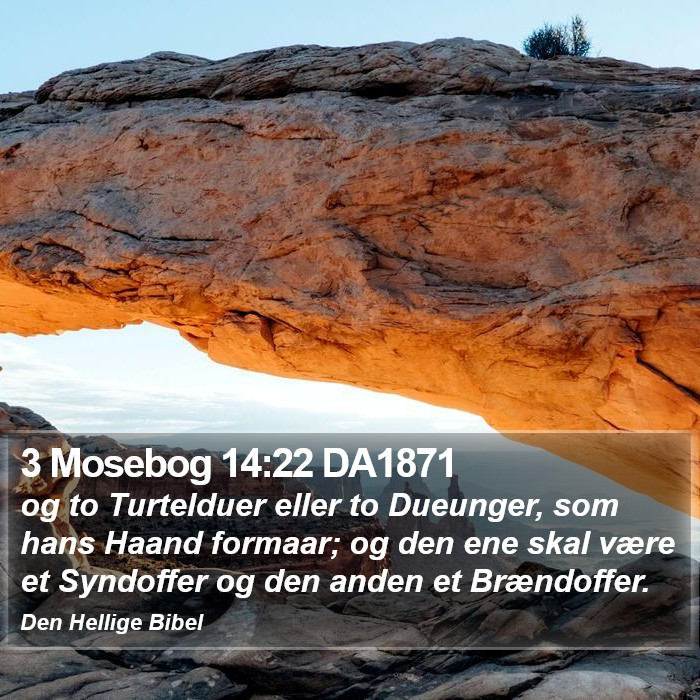 3 Mosebog 14:22 DA1871 Bible Study