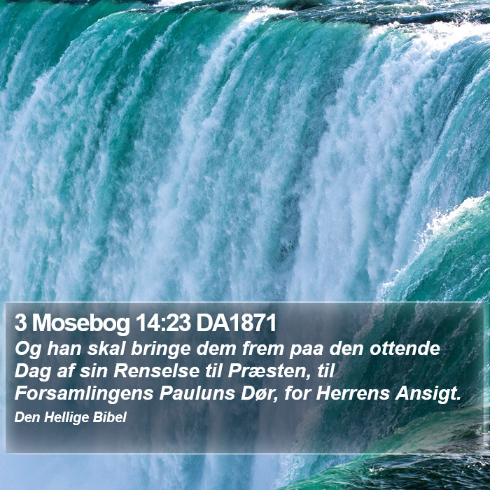 3 Mosebog 14:23 DA1871 Bible Study