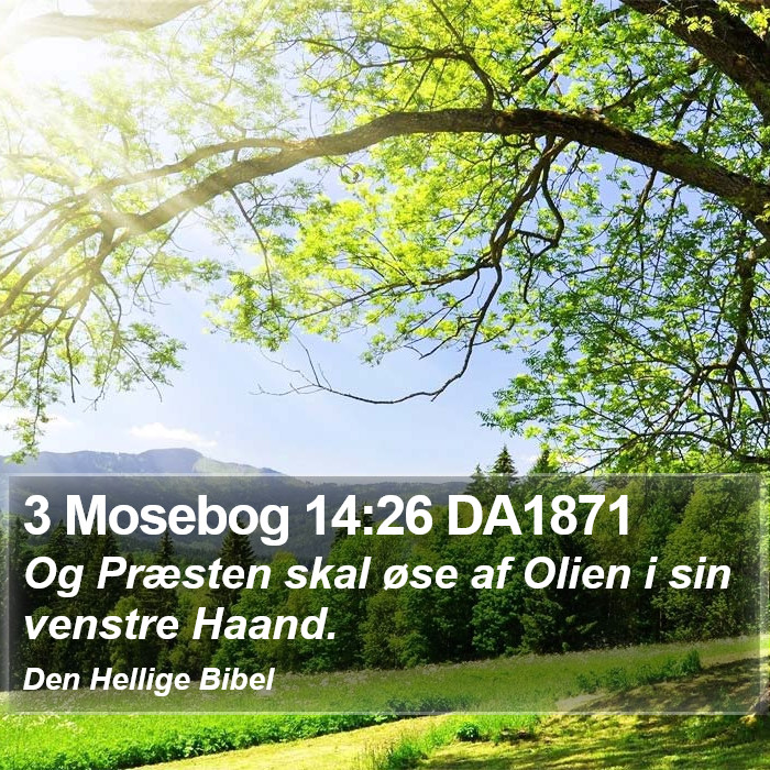 3 Mosebog 14:26 DA1871 Bible Study