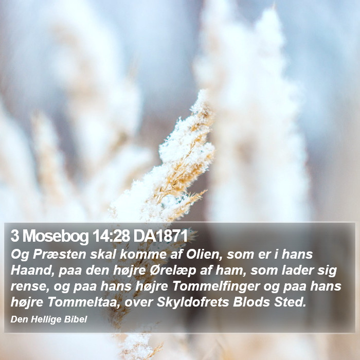 3 Mosebog 14:28 DA1871 Bible Study