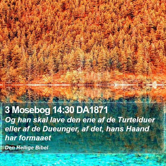 3 Mosebog 14:30 DA1871 Bible Study