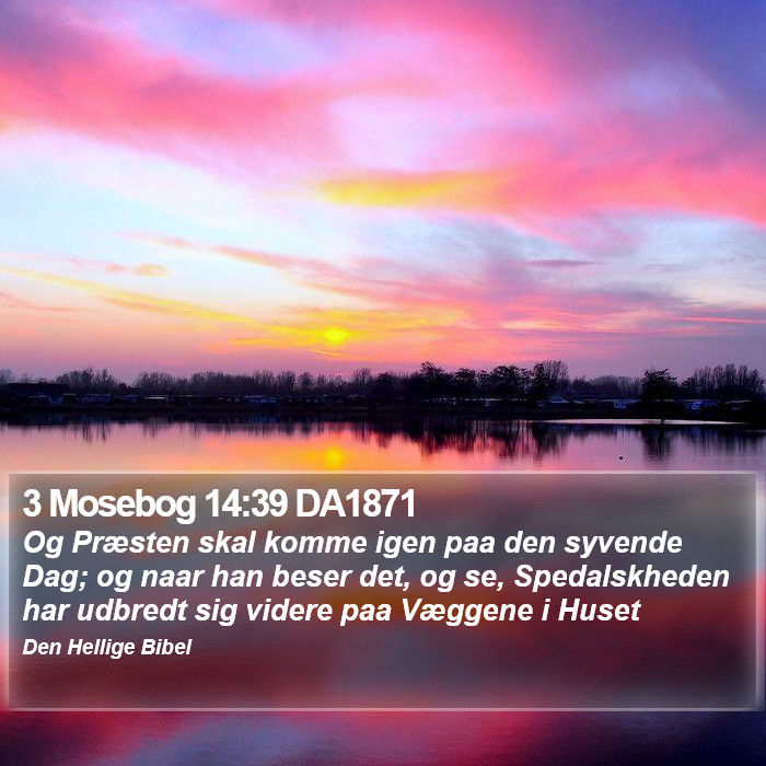 3 Mosebog 14:39 DA1871 Bible Study