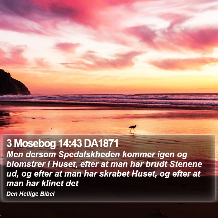 3 Mosebog 14:43 DA1871 Bible Study