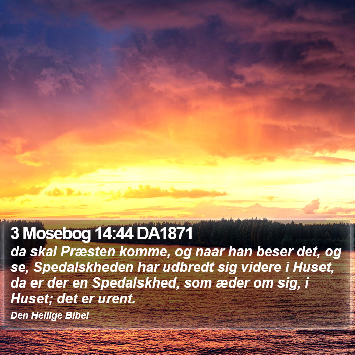 3 Mosebog 14:44 DA1871 Bible Study