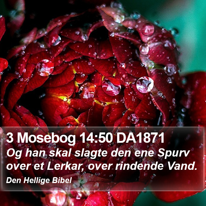 3 Mosebog 14:50 DA1871 Bible Study