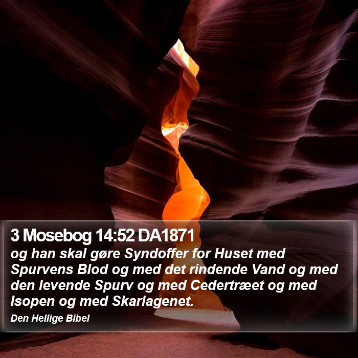 3 Mosebog 14:52 DA1871 Bible Study