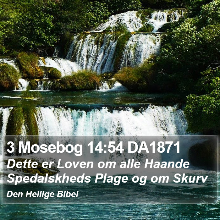 3 Mosebog 14:54 DA1871 Bible Study