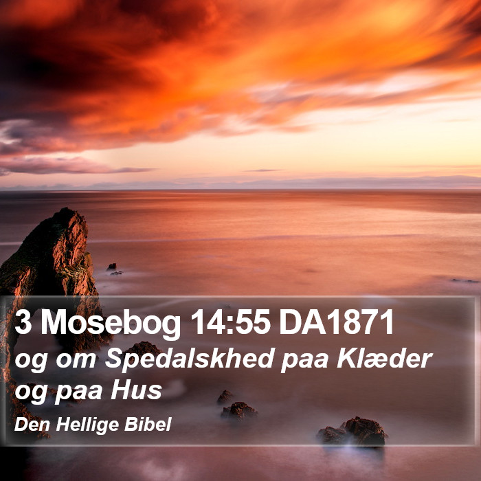 3 Mosebog 14:55 DA1871 Bible Study