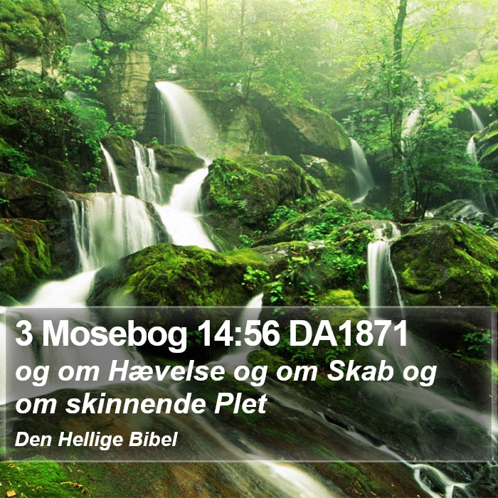 3 Mosebog 14:56 DA1871 Bible Study