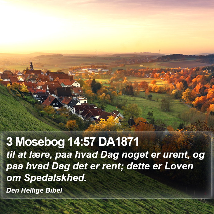 3 Mosebog 14:57 DA1871 Bible Study