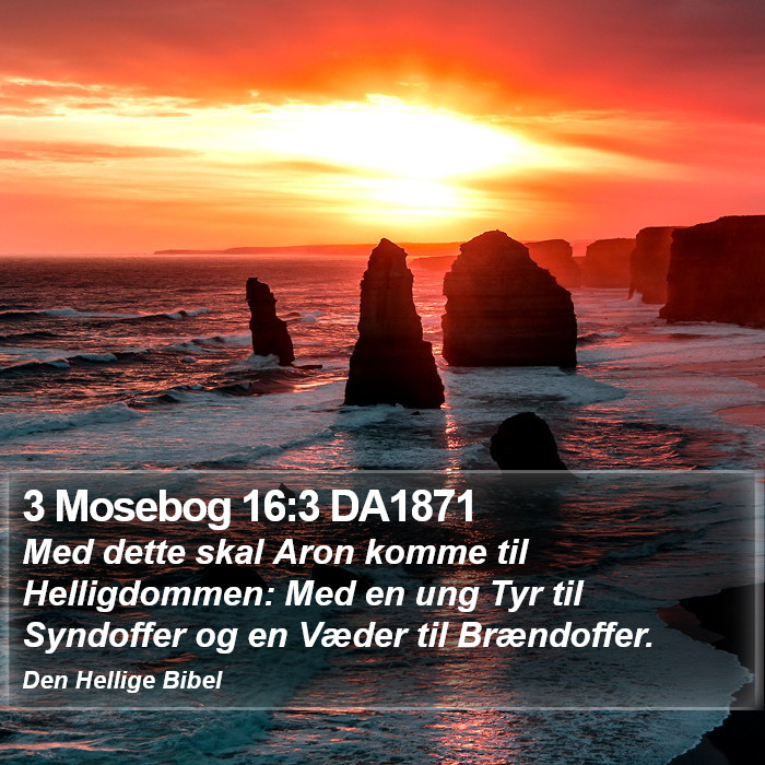 3 Mosebog 16:3 DA1871 Bible Study