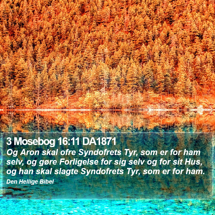 3 Mosebog 16:11 DA1871 Bible Study