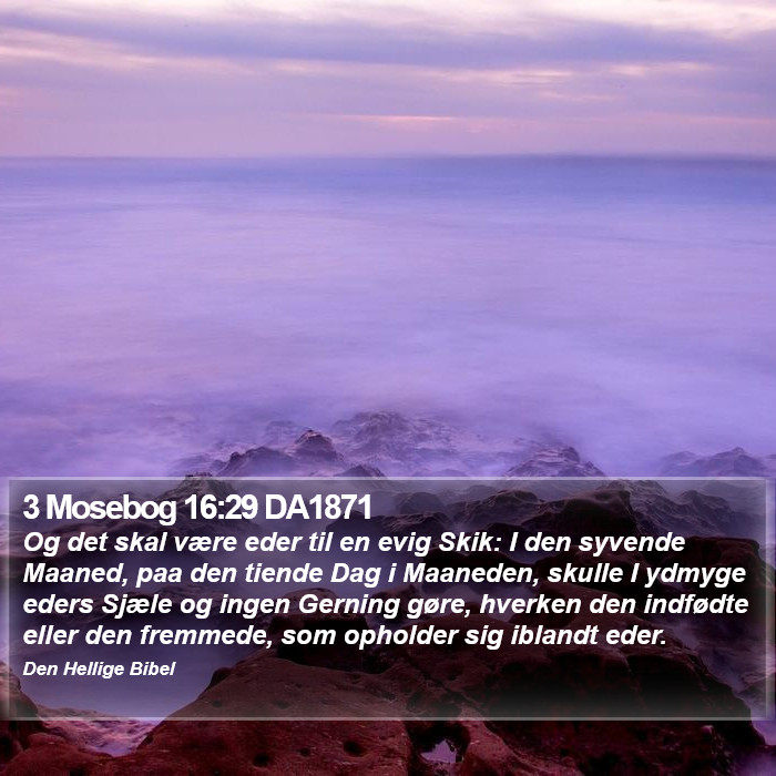 3 Mosebog 16:29 DA1871 Bible Study