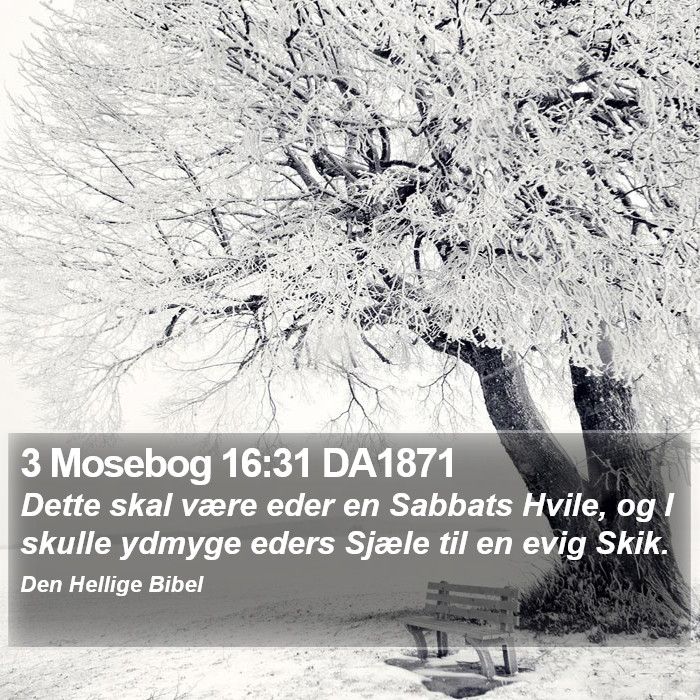 3 Mosebog 16:31 DA1871 Bible Study