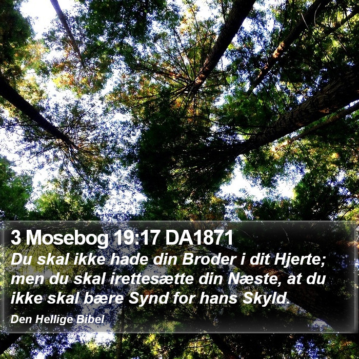 3 Mosebog 19:17 DA1871 Bible Study