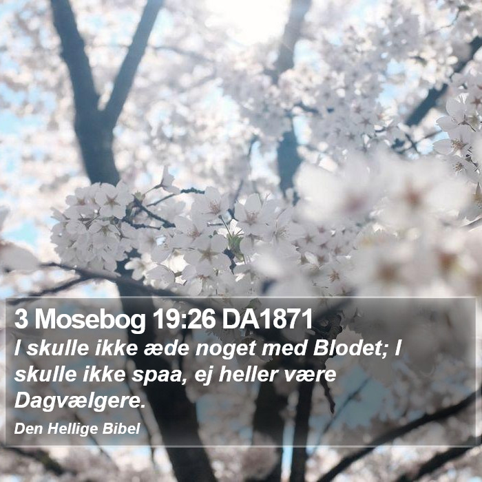 3 Mosebog 19:26 DA1871 Bible Study