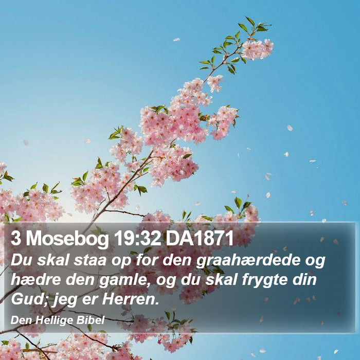 3 Mosebog 19:32 DA1871 Bible Study