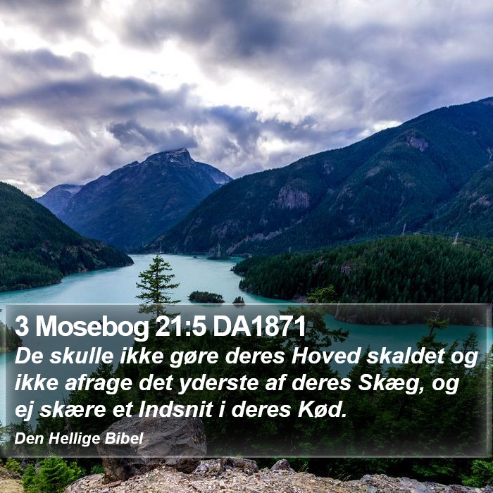 3 Mosebog 21:5 DA1871 Bible Study