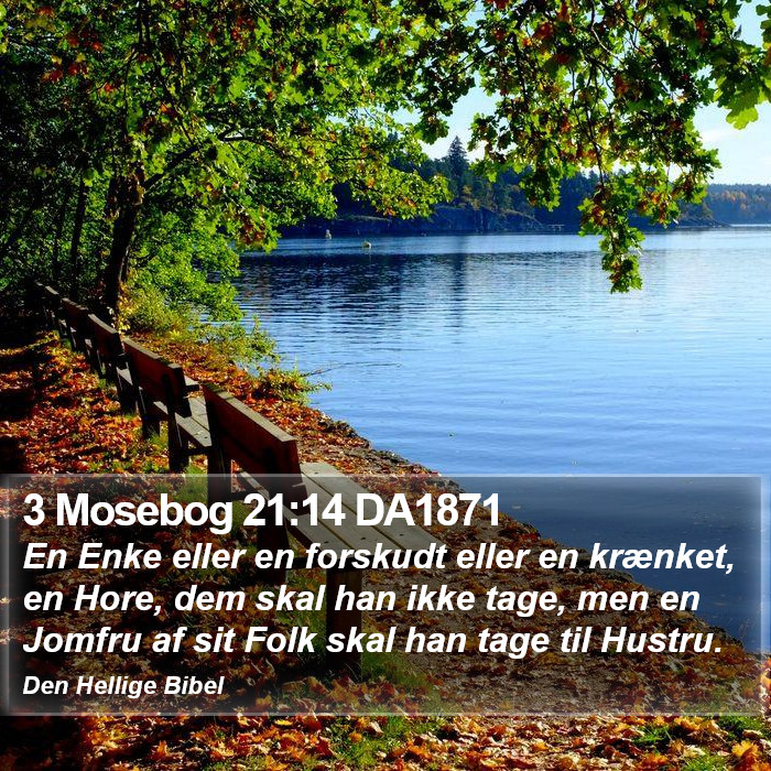 3 Mosebog 21:14 DA1871 Bible Study