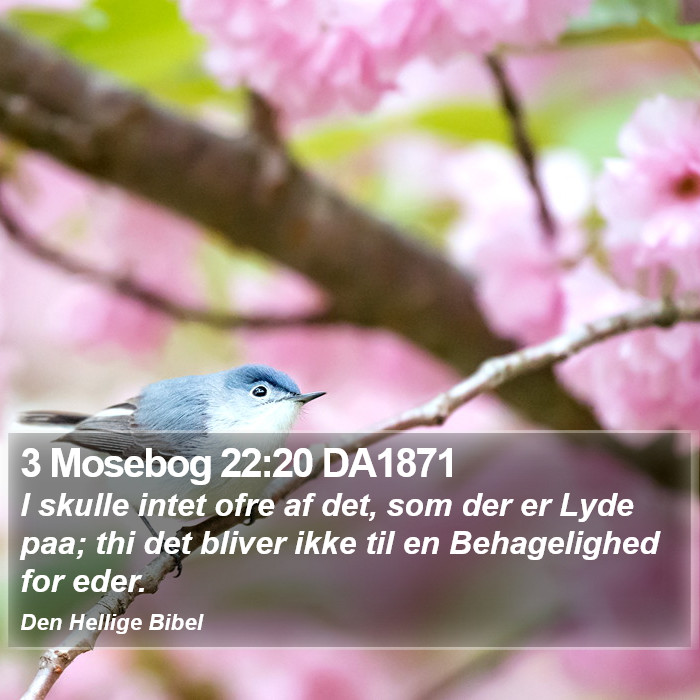 3 Mosebog 22:20 DA1871 Bible Study