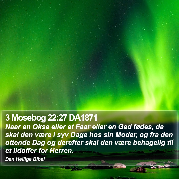 3 Mosebog 22:27 DA1871 Bible Study