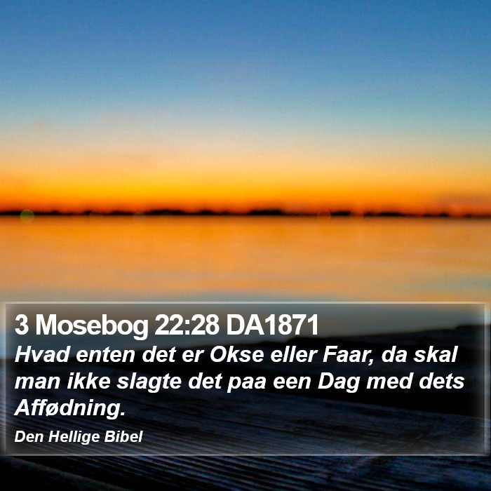 3 Mosebog 22:28 DA1871 Bible Study