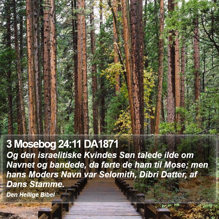 3 Mosebog 24:11 DA1871 Bible Study