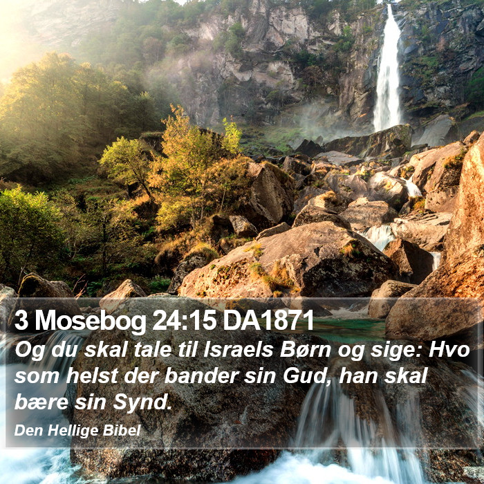 3 Mosebog 24:15 DA1871 Bible Study