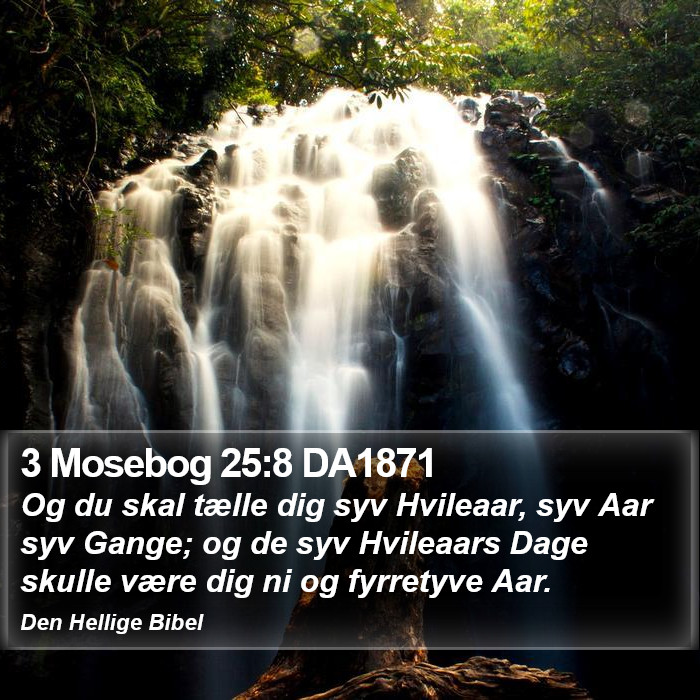 3 Mosebog 25:8 DA1871 Bible Study