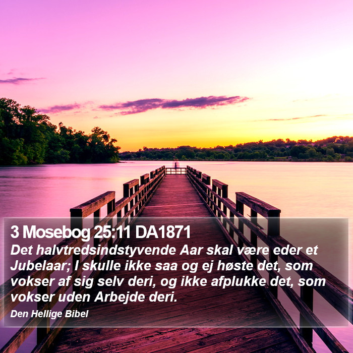 3 Mosebog 25:11 DA1871 Bible Study