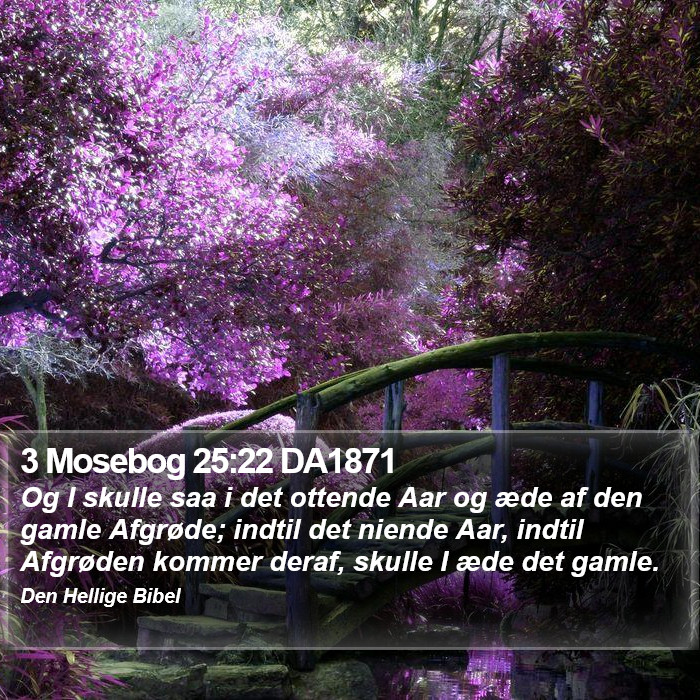 3 Mosebog 25:22 DA1871 Bible Study