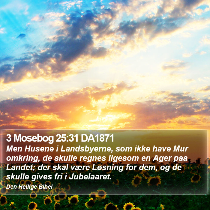3 Mosebog 25:31 DA1871 Bible Study