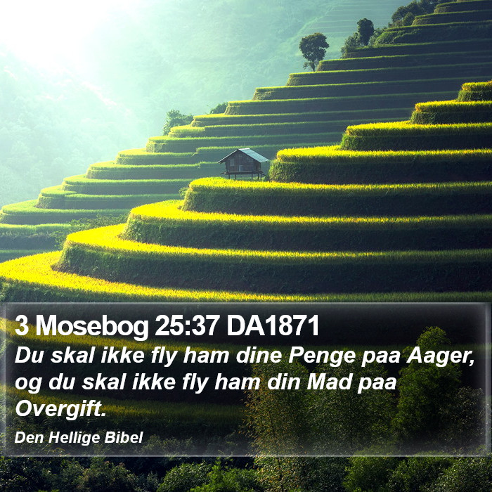 3 Mosebog 25:37 DA1871 Bible Study