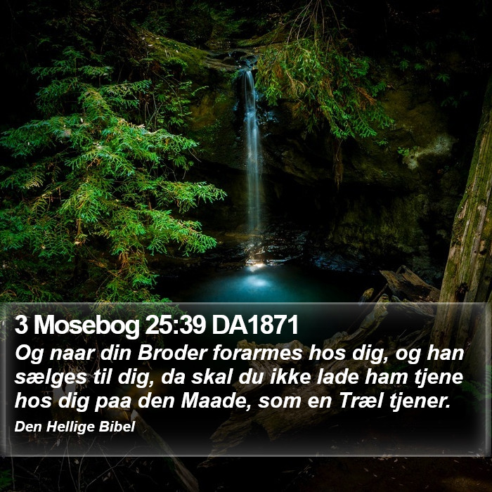 3 Mosebog 25:39 DA1871 Bible Study