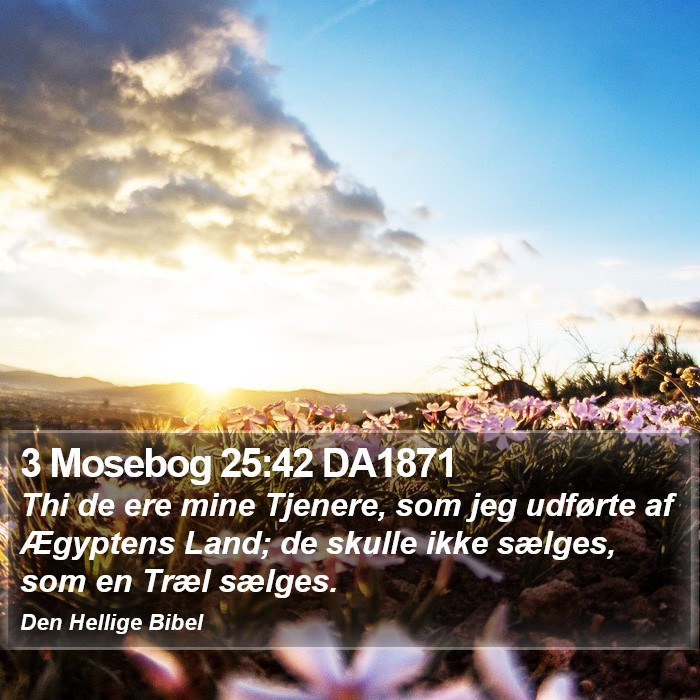 3 Mosebog 25:42 DA1871 Bible Study