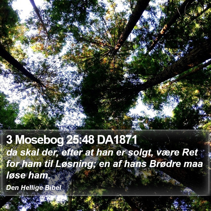 3 Mosebog 25:48 DA1871 Bible Study
